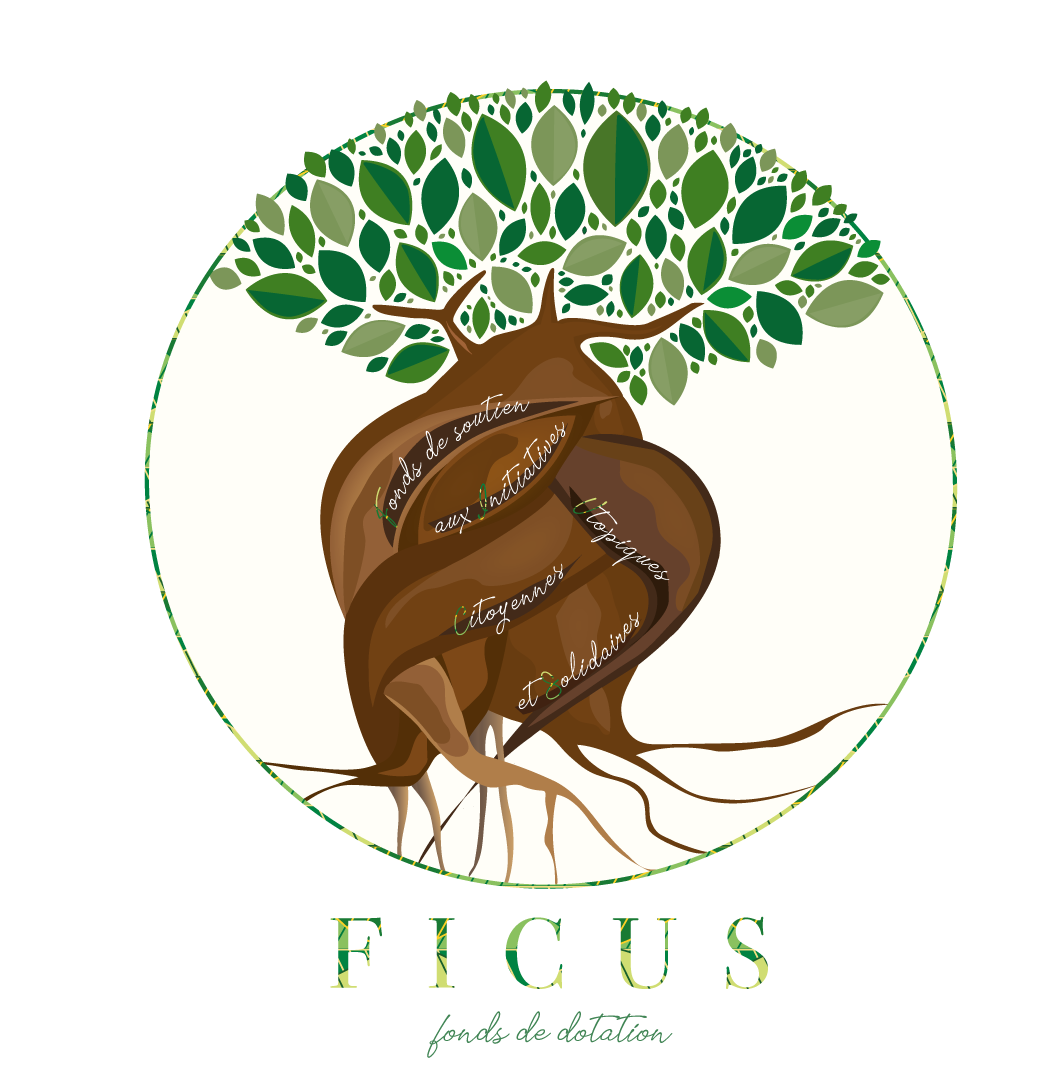 Logo FICUS nettoyé